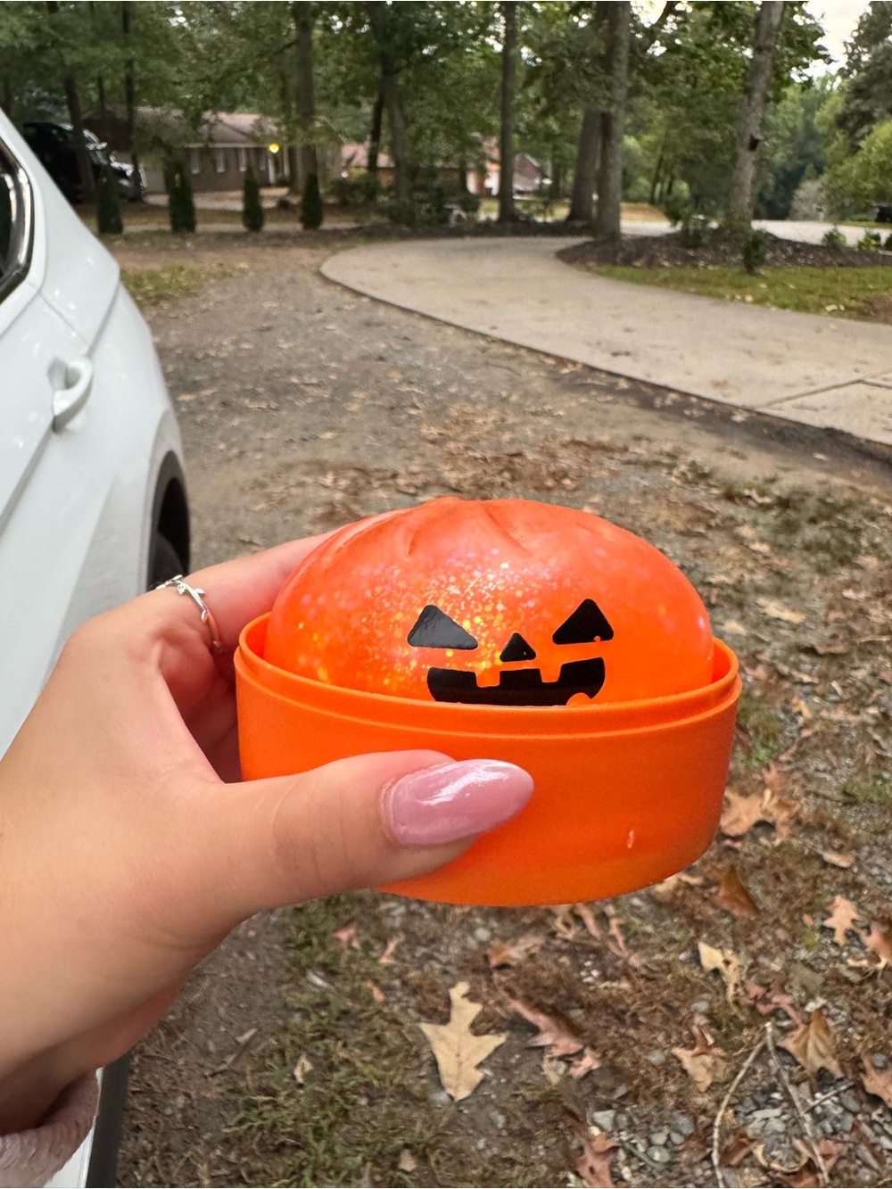 The super rare Halloween RMS Halloween dumpling 2026